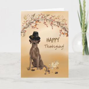 Cartão Labrador Retriever Engraçado Pilgrim Que Ação de G