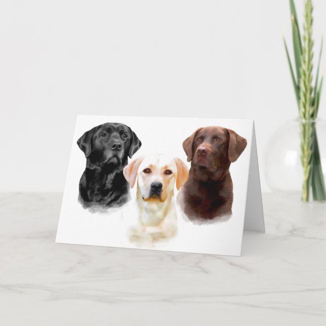 Cartão Labrador Retriever Greeting Cards (Frente)