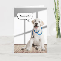 Labrador Retriever Obrigado pelo veterinário