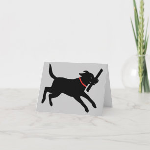 Cartão Labrador Retriever Preto Jovial Cachorro Preto F