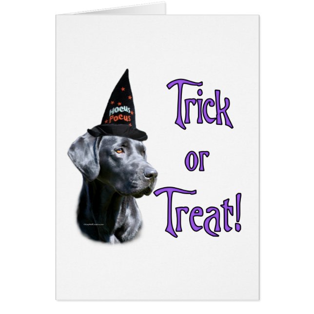 Cartão Labrador Retriever (preto) Trick (Frente)