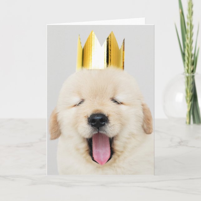 Cartão Labrador retriever WITH CROWN Folded Greeting Card (Frente)