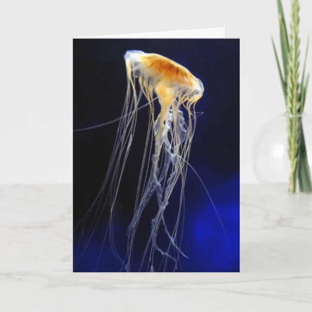 Cartão - laço de derivação (Frente)