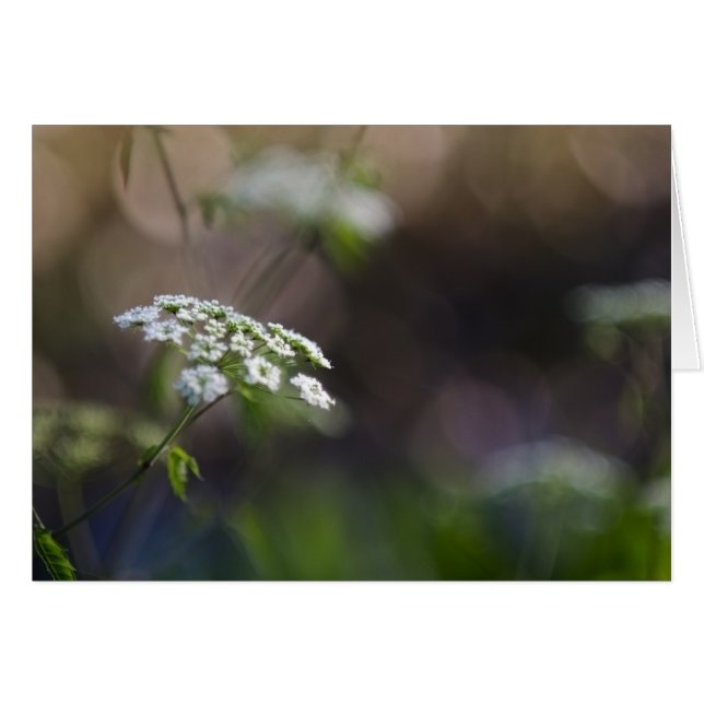 Cartão Laço do fim do verão (Frente Horizontal)
