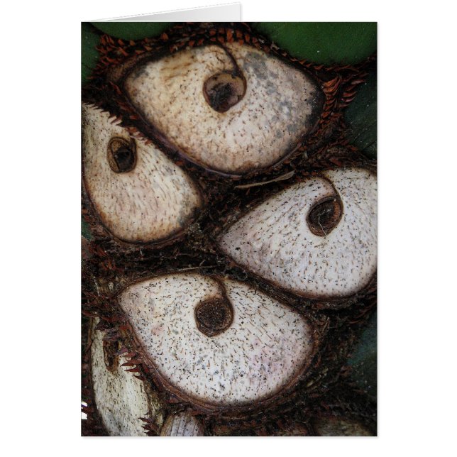 Cartão Lado da Palma (Frente)