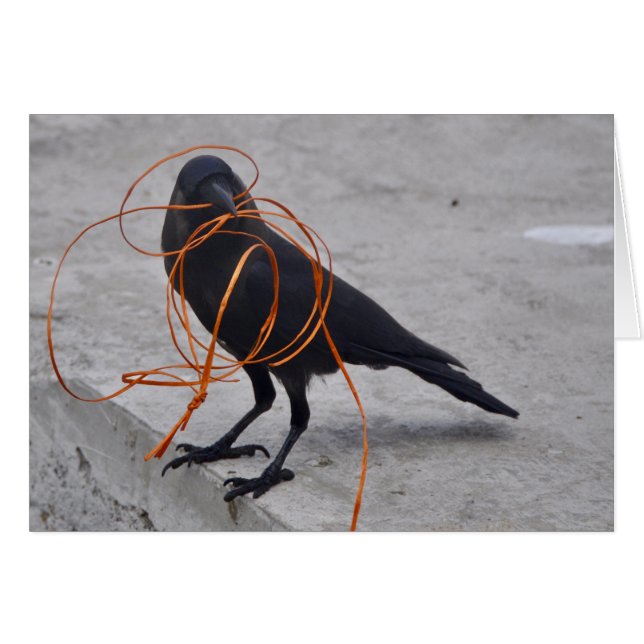 Cartão Ladrão no preto (Frente Horizontal)