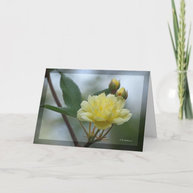 Cartão Lady Banks Rosea (Frente)