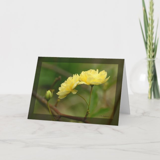 Cartão Lady Banks Rosea Duo (Frente)