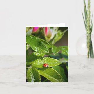 Cartão Lady bug on a leaf greeting card