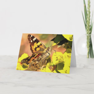 Cartão Lady Butterfly pintada em Myrtle Spurge