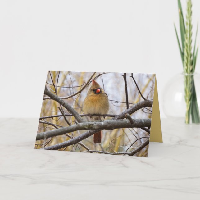 Cartão Lady C (Frente)