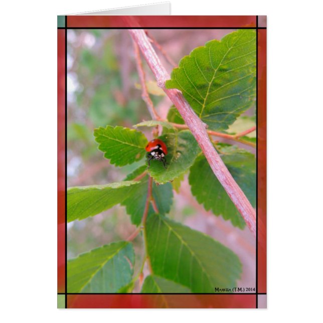 Cartão Lady in Red (Frente)