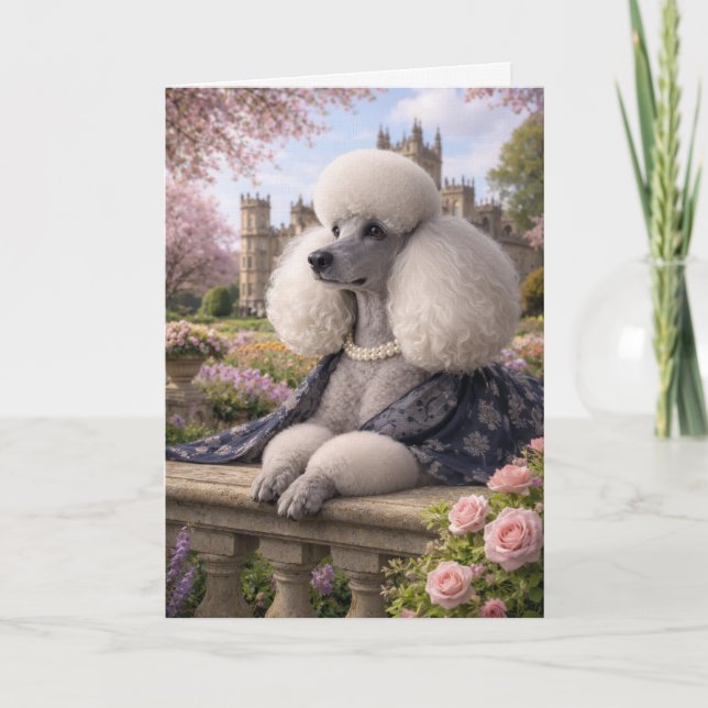 Cartão Lady Rose, Poodle Blank Card (Frente)