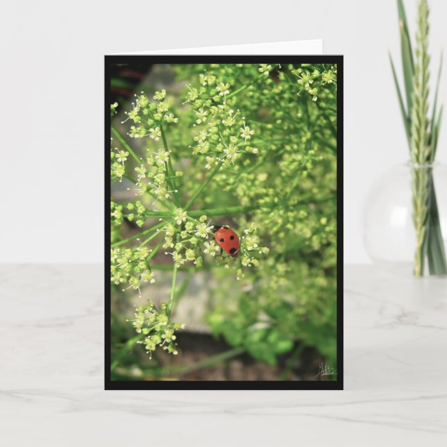 Cartão Ladybird [Cartão Saudável] (Frente)