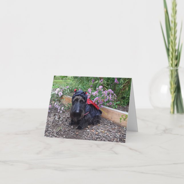 Cartão Ladybug Baby (Frente)