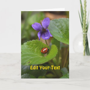 Cartão Ladybug em Flores de Violeta Doce