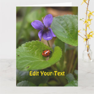 Cartão Ladybug em Flores de Violeta Doce