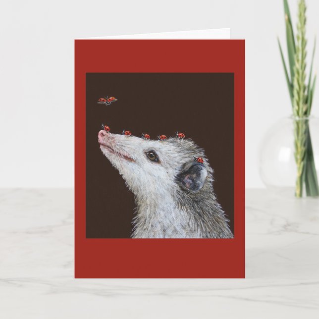 Cartão Ladybug Launchpad (Frente)