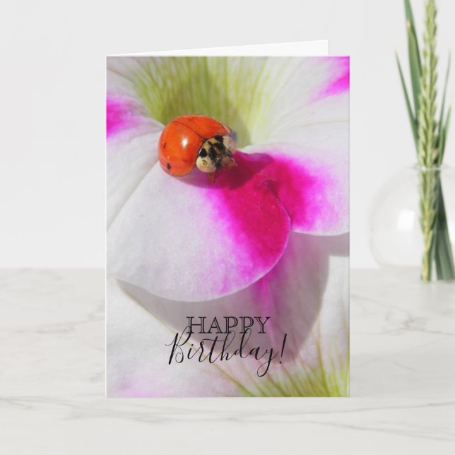 Cartão Ladybug na petúnia (Frente)