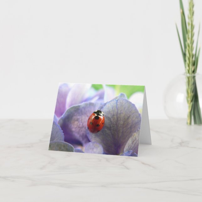 Cartão LadyBug Notecard (Frente)