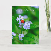 Ladybug on Forget-me-not Birthday Card