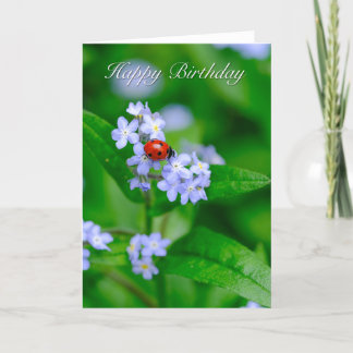 Cartão Ladybug on Forget-me-not Birthday Card