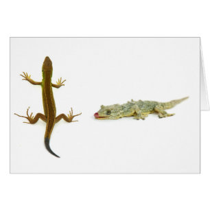 Cartão lagarto