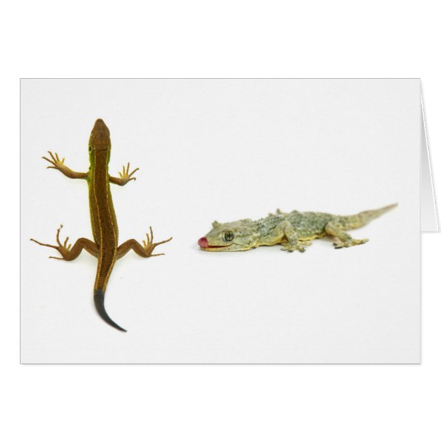 Cartão lagarto (Frente Horizontal)