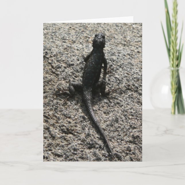 Cartão Lagarto Preto (Frente)