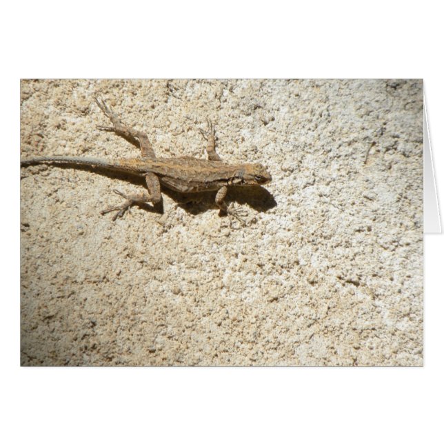 Cartão lagarto Stucco (Frente Horizontal)
