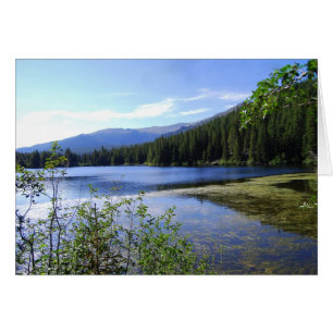 Cartão Lago bear, parque nacional de montanha rochosa,