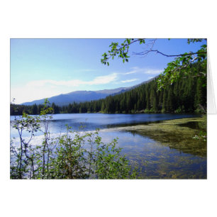 Cartão Lago bear, parque nacional de montanha rochosa,
