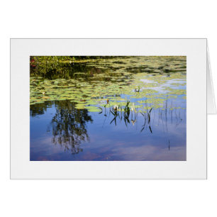 Cartão Lago Caroline