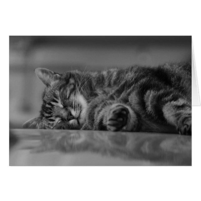 Cartão Lago Como Cat - 3 B&W (Frente Horizontal)