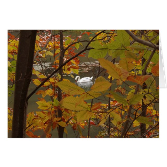 Cartão Lago de Outono com Cisne (Frente Horizontal)