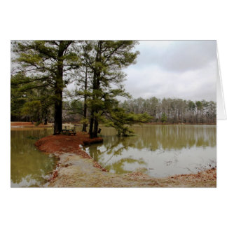 Cartão Lago de Parson