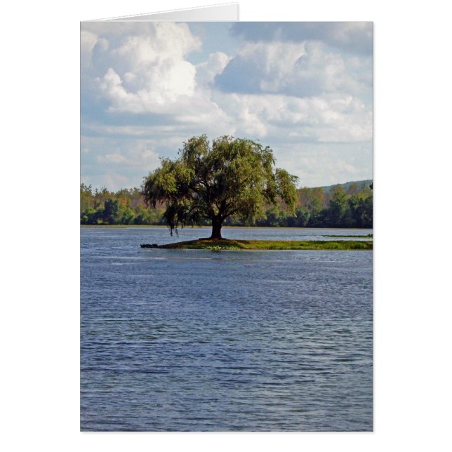 Cartão Lago Iron Mountain (Frente)