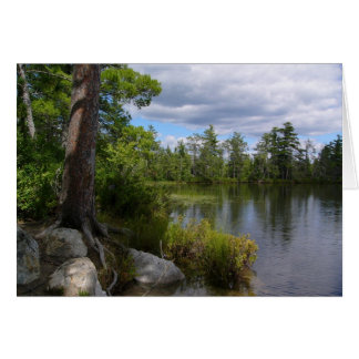 Cartão lago nelligan