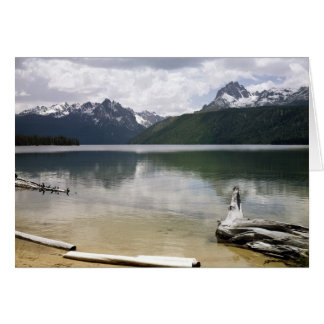 Cartão Lago Red Fish