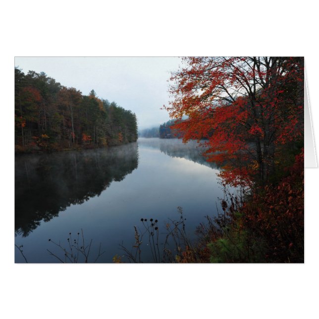 Cartão Lago Seed (Frente Horizontal)