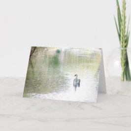 Cartão Lago Swan