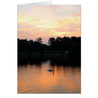 Cartão Lago swan