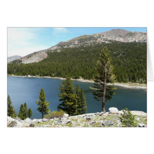 Cartão Lago Tenaya no Parque Nacional de Yosemite
