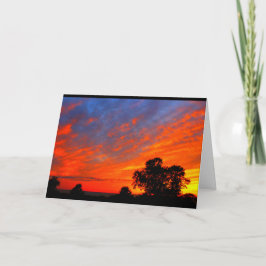 Cartão Lago Winnebago Sunset Pensando Em Você