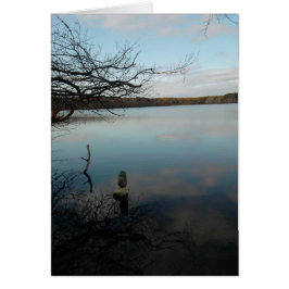 Cartão Lagoa da reflexão