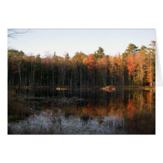 Cartão Lagoa de castor de New Hampshire no outono