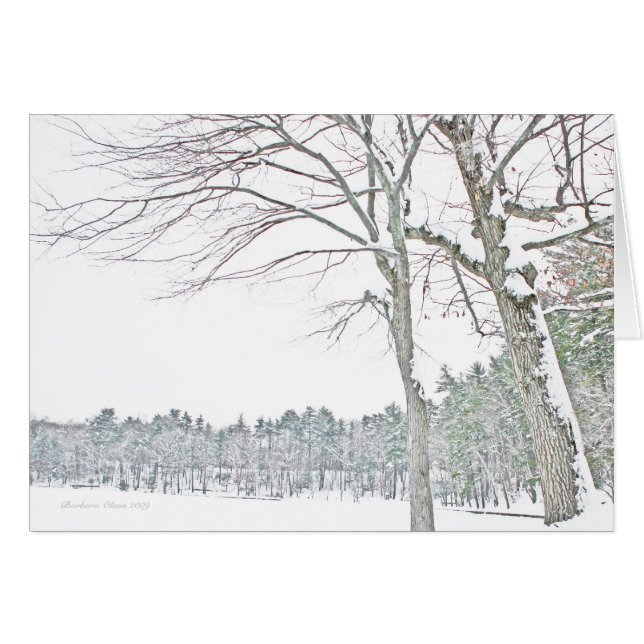 Cartão Lagoa de Walden: No zen (Frente Horizontal)