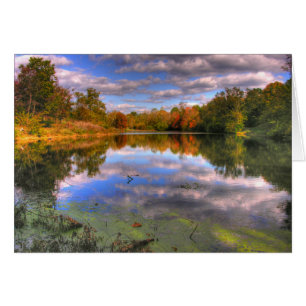 Cartão Lagoa do salgueiro
