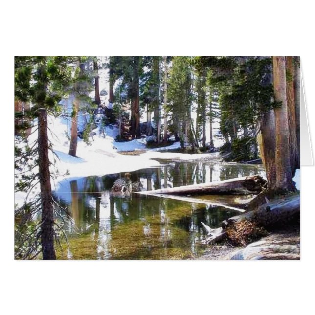 Cartão Lagos Trees Forrestes (Frente Horizontal)