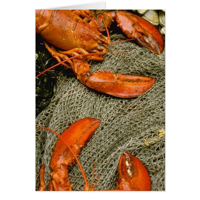 Cartão Lagosta (Frente)